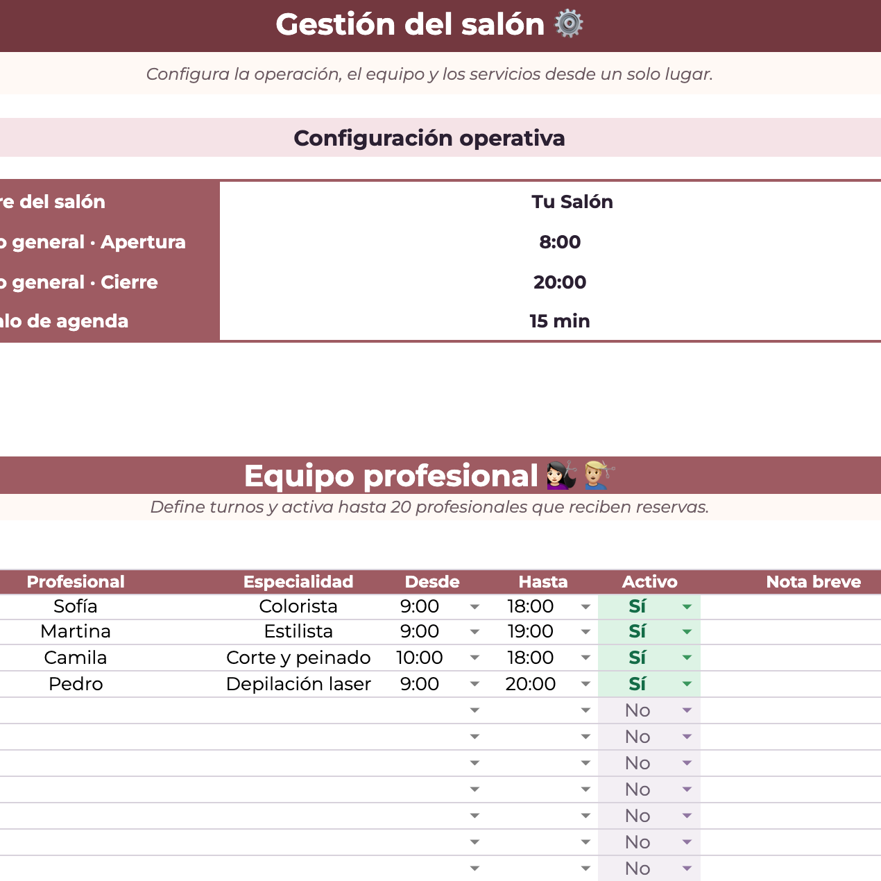 Planillas Pyme - Gestión de Reservas para Peluquería
